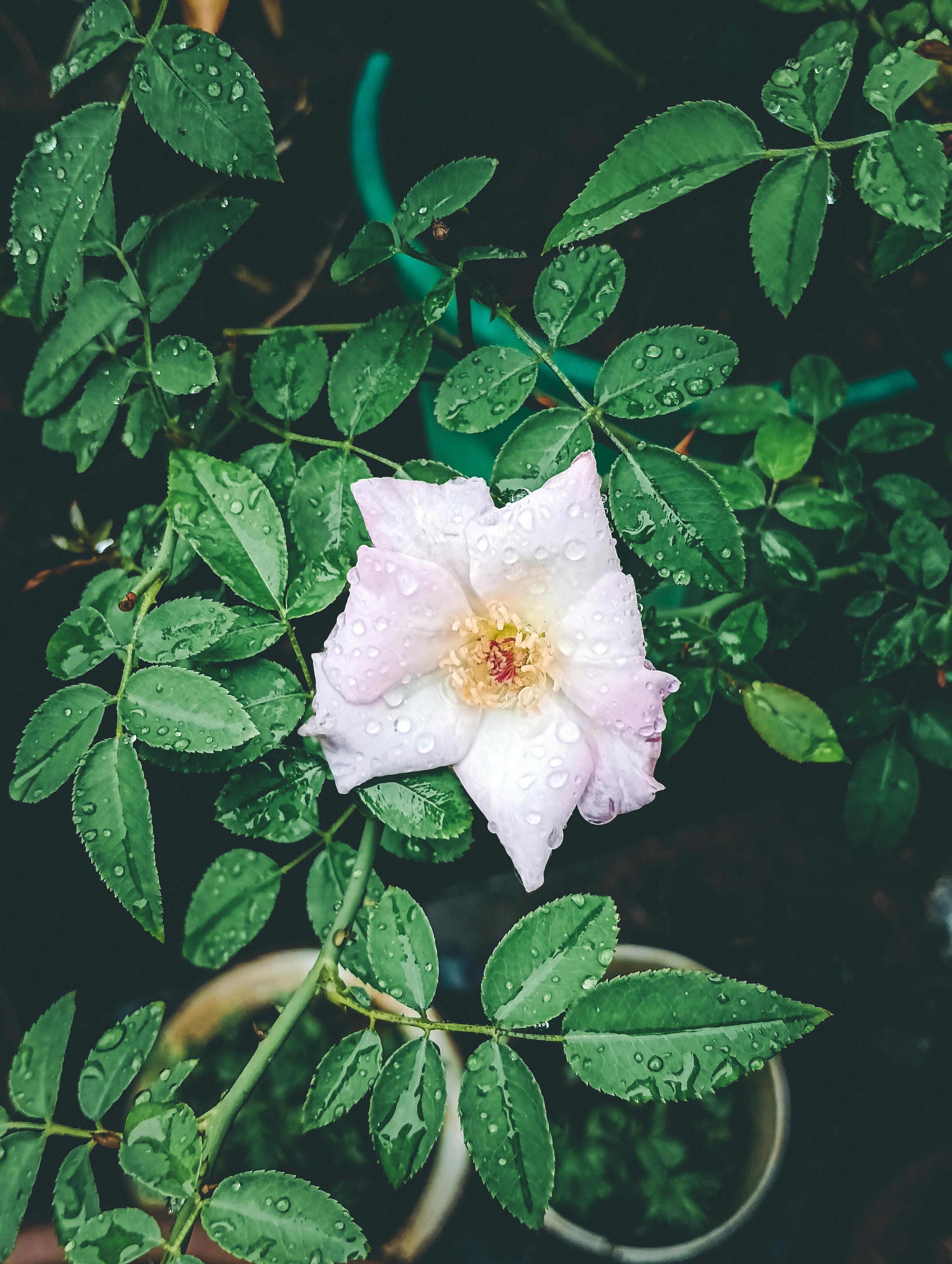 Photo by bhaveshmoudekar