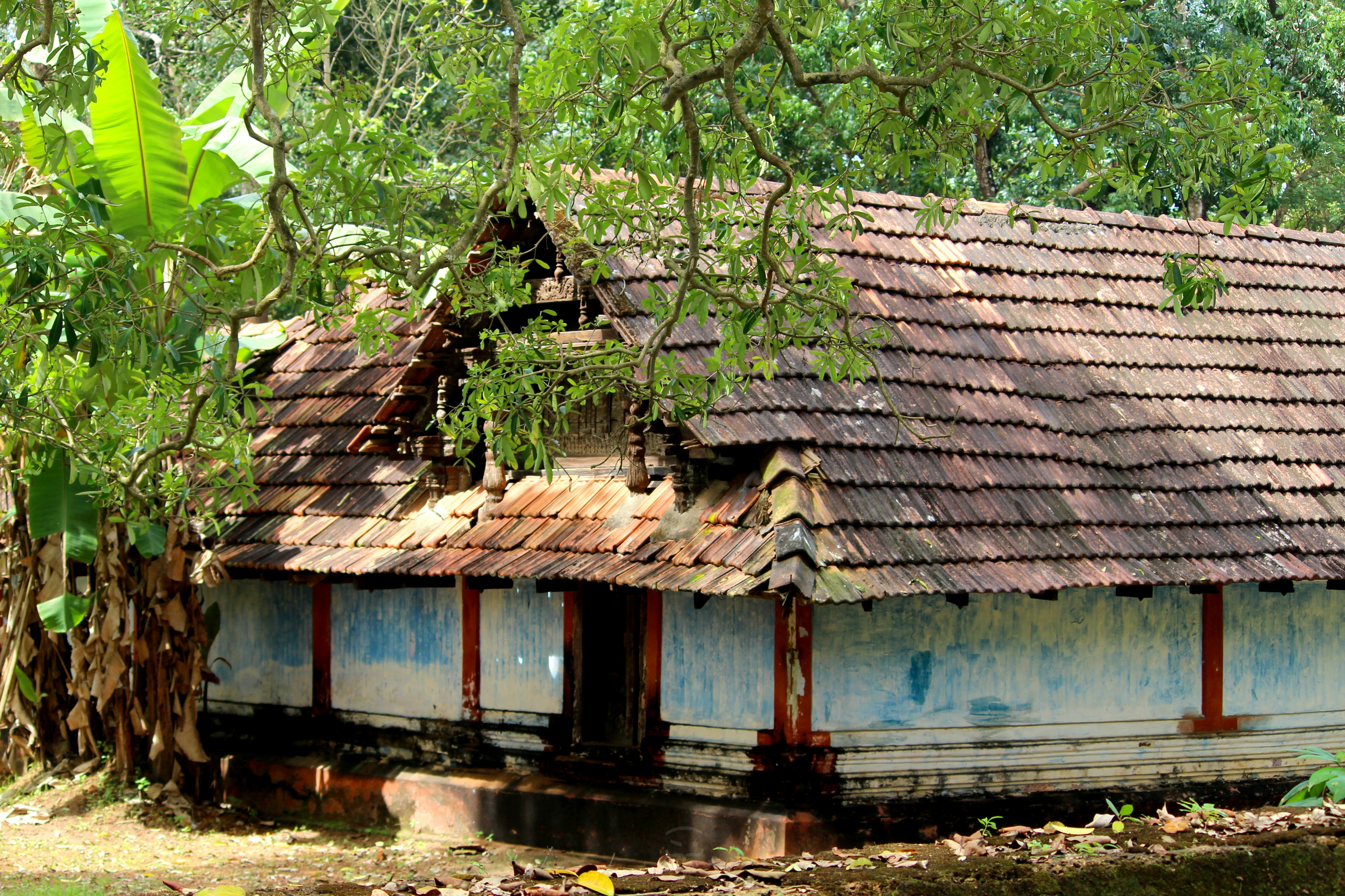 a house that has fallen