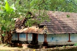 a house that has fallen