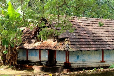 a house that has fallen