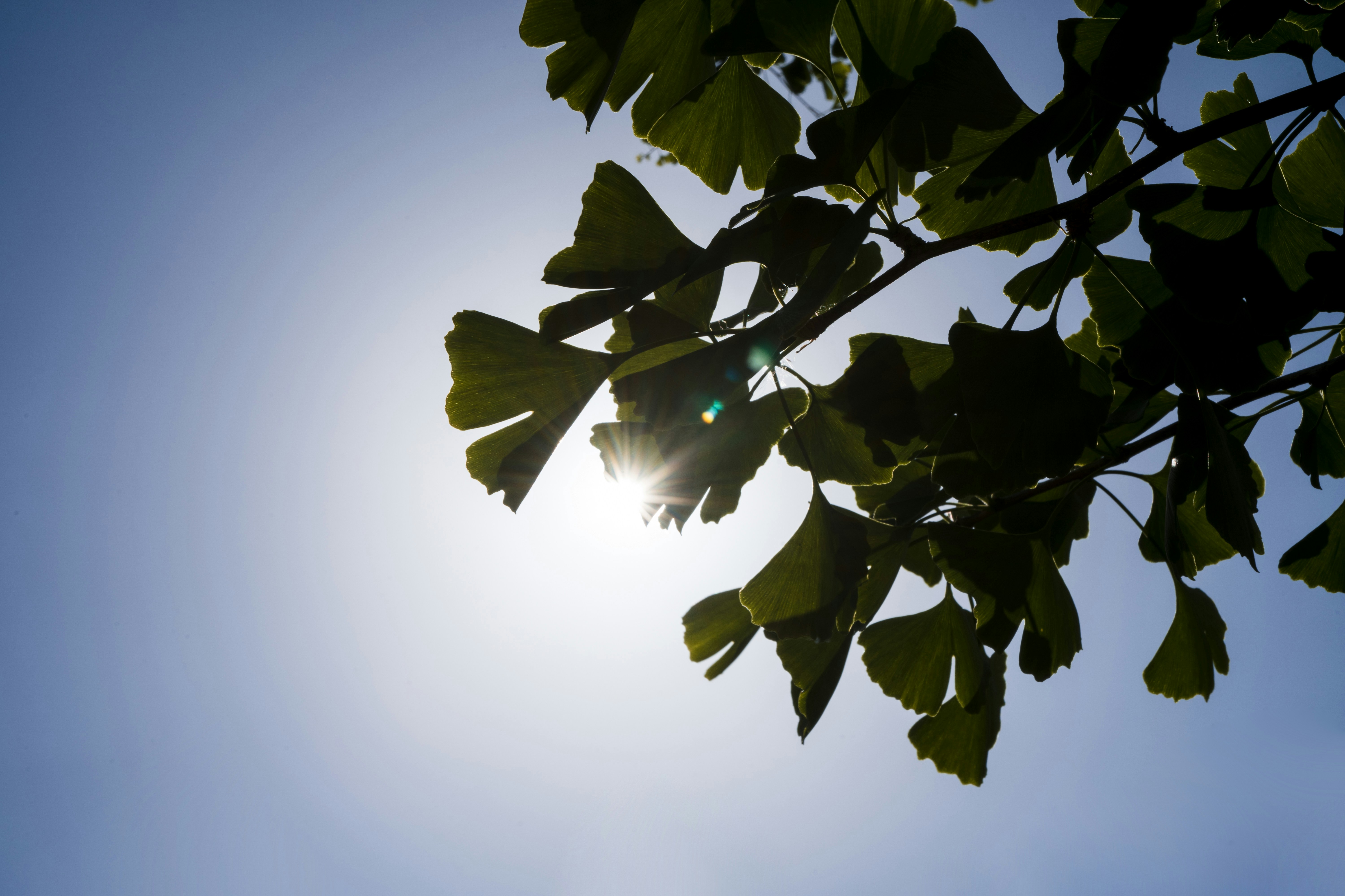 Photo by julianhochgesang