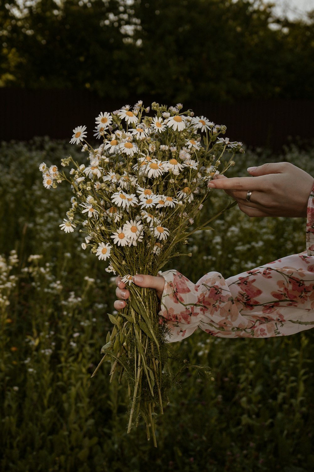 a person holding a bouquet of flowers