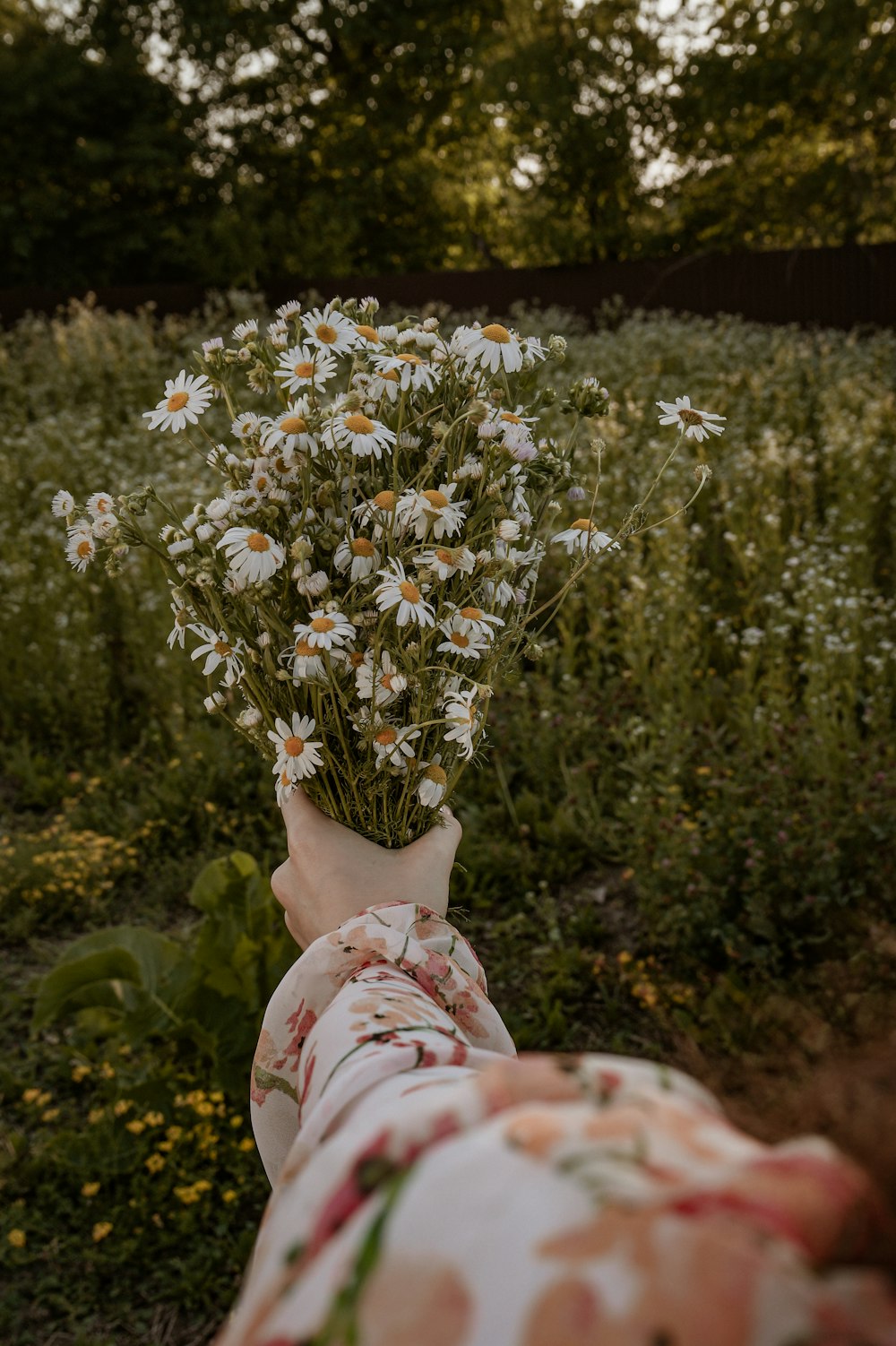 a person lying in a field with flowers