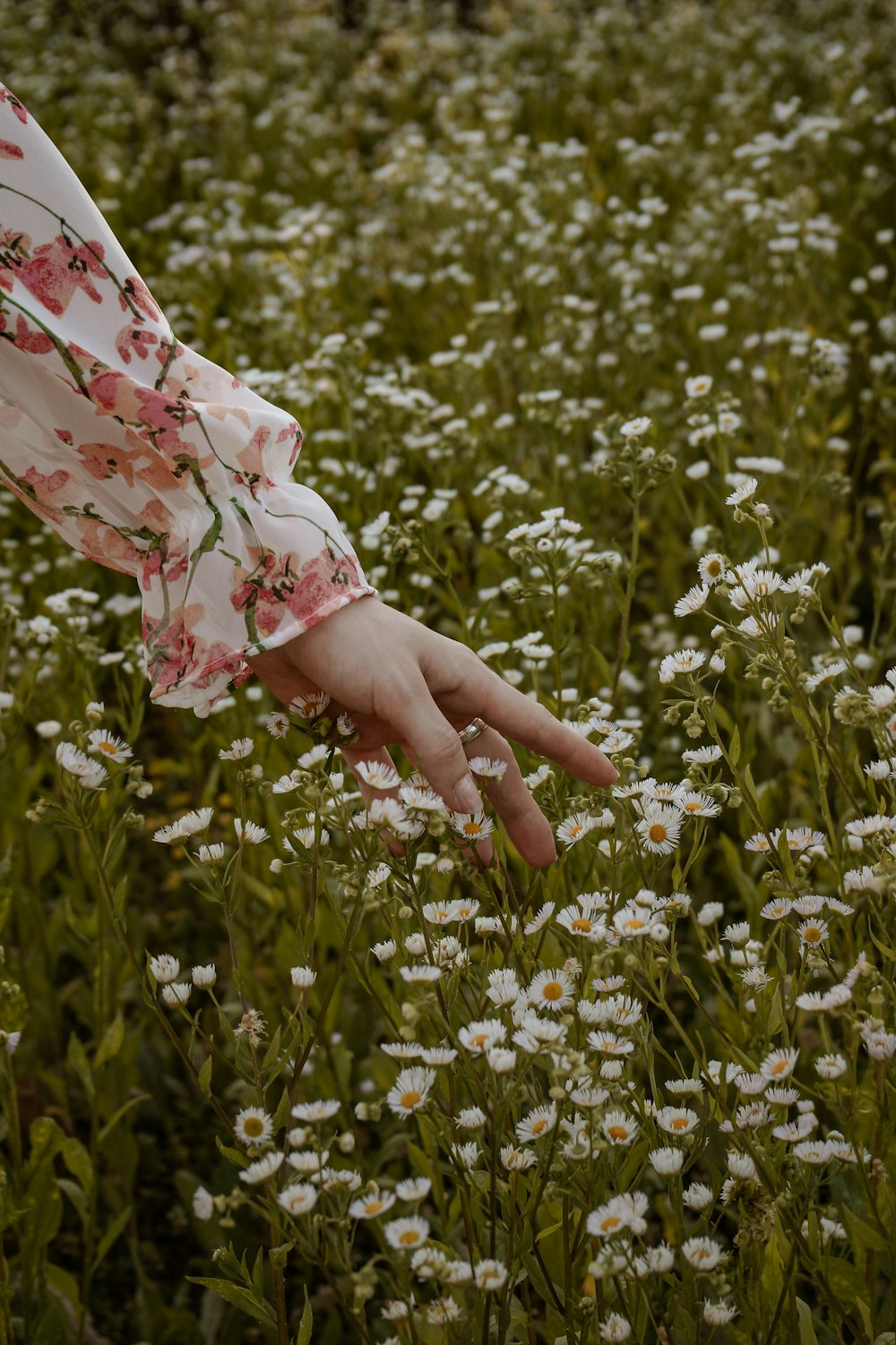 a woman in a dress surrounded by white flowers