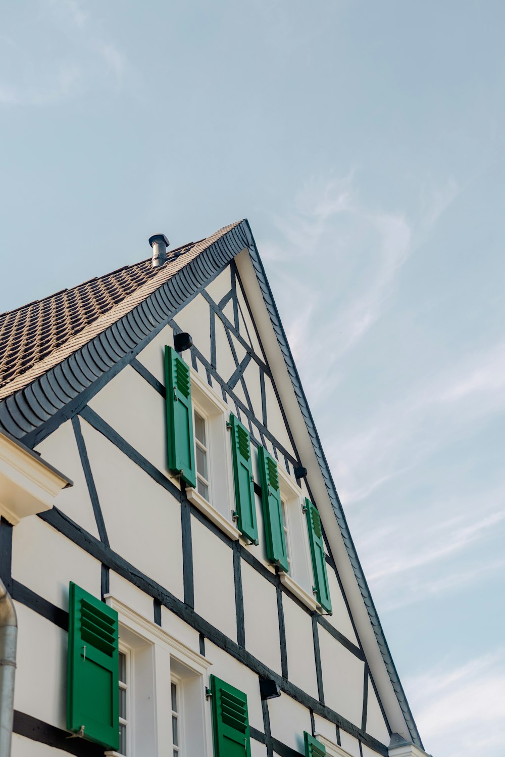 a bird on a roof