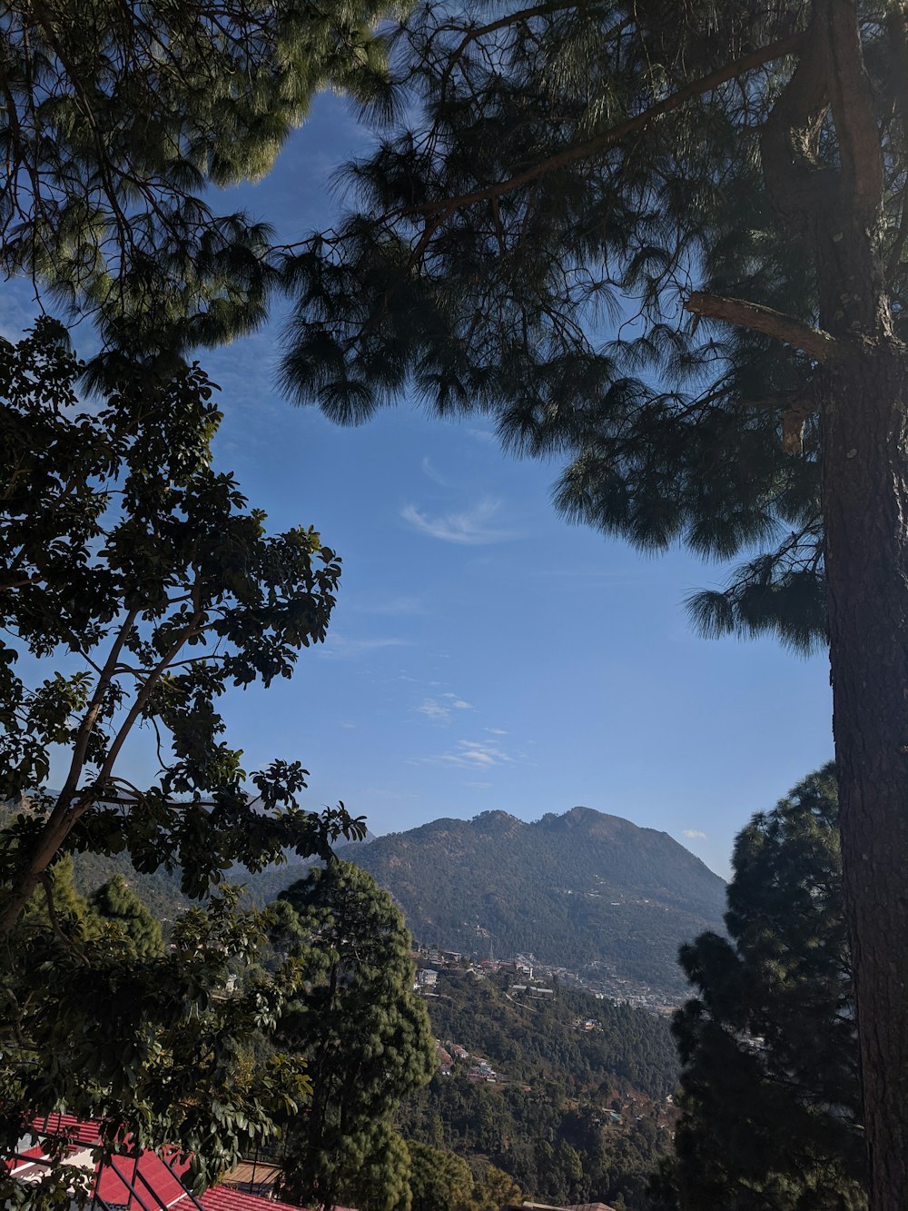 uma vista de um vale com árvores e montanhas ao fundo