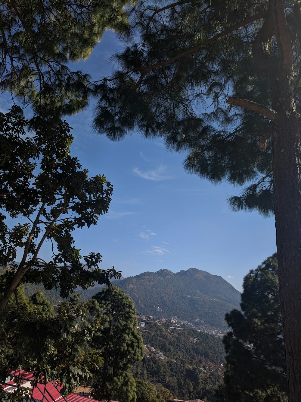 a view of a valley with trees and mountains in the background