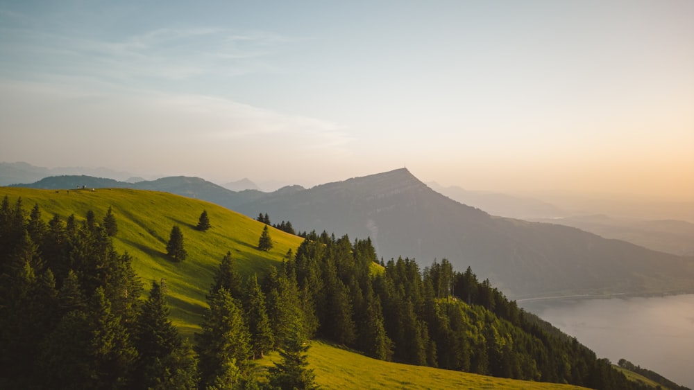 a landscape with trees and hills