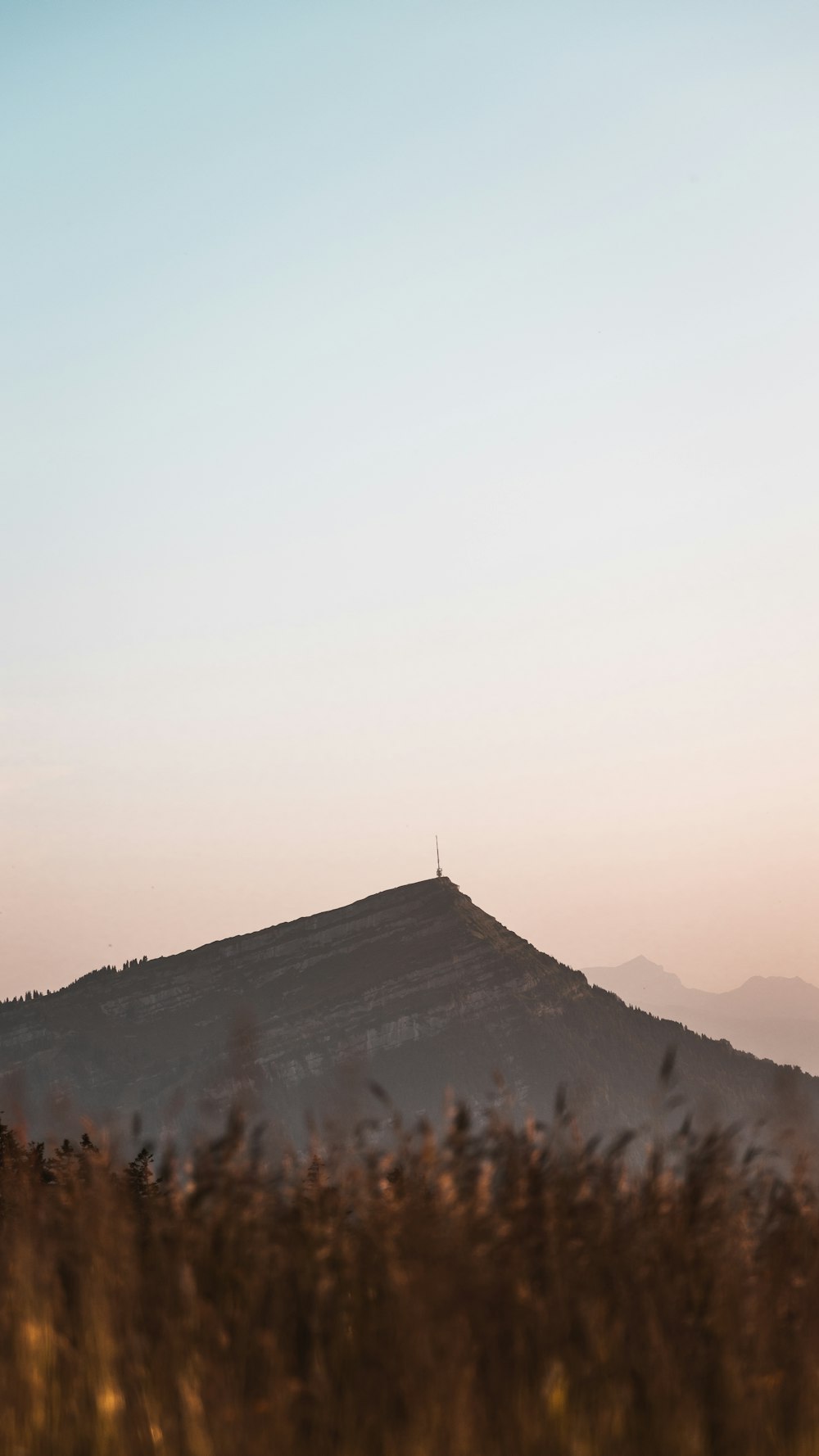 a mountain with trees in front of it