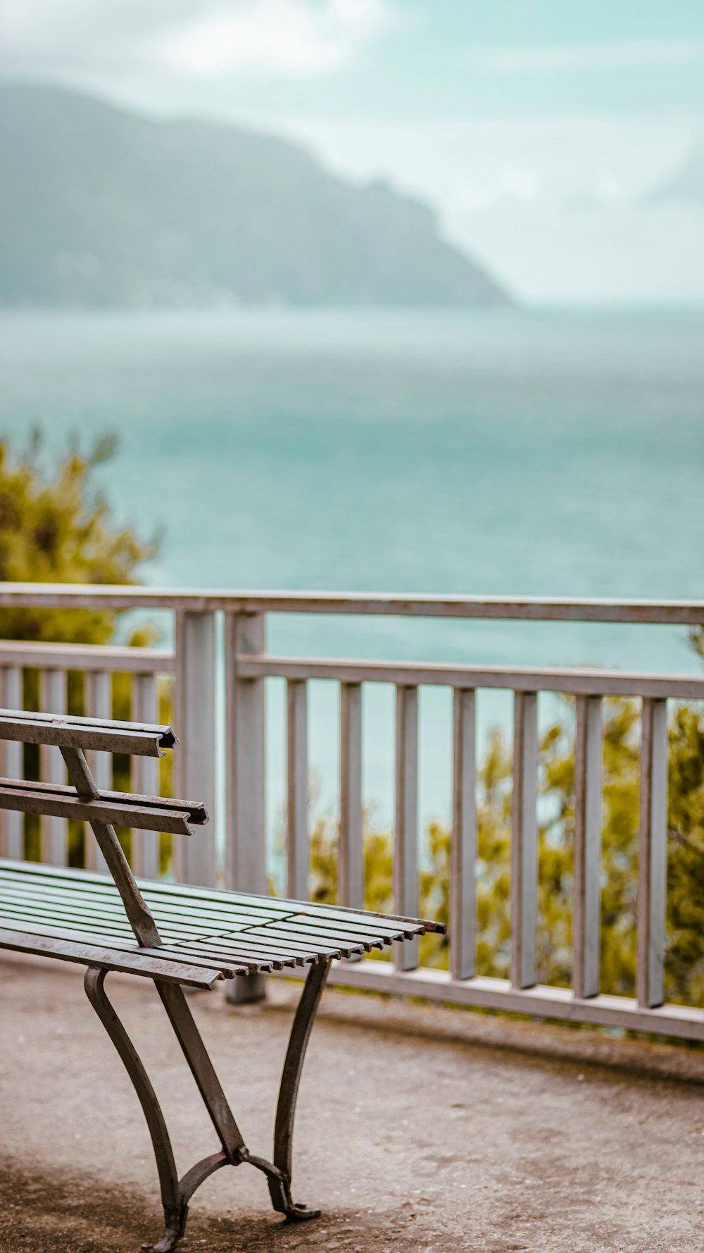 a bench overlooking the ocean