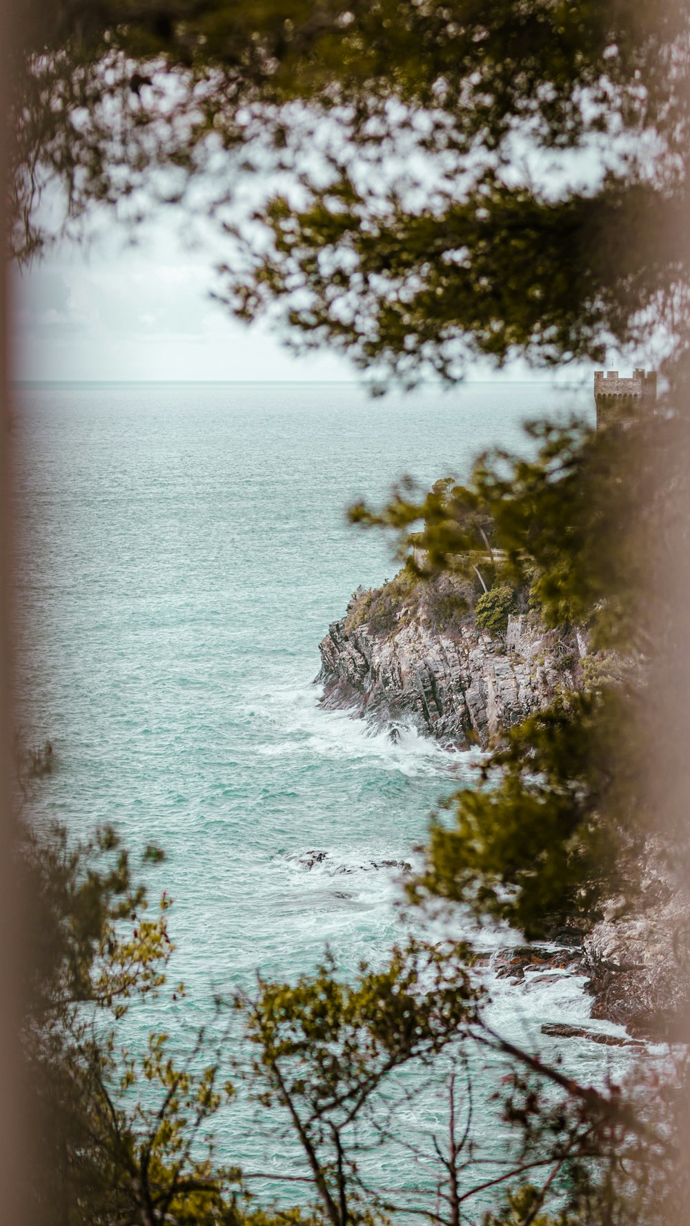 a body of water with trees around it