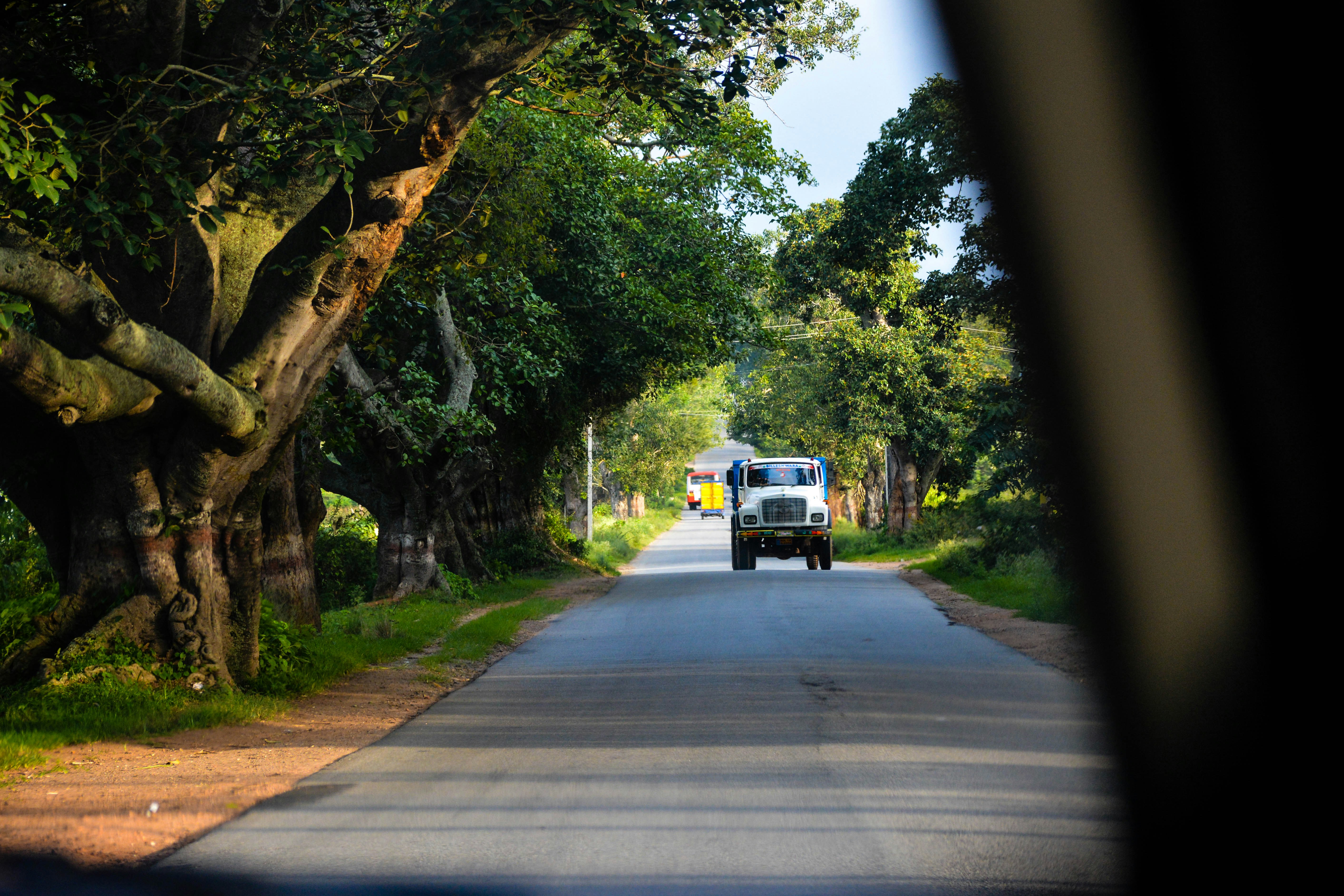 Photo by animeshsahoo