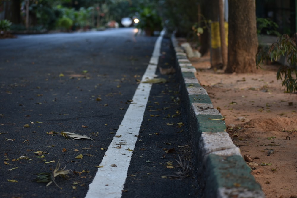 a road with a tree on the side