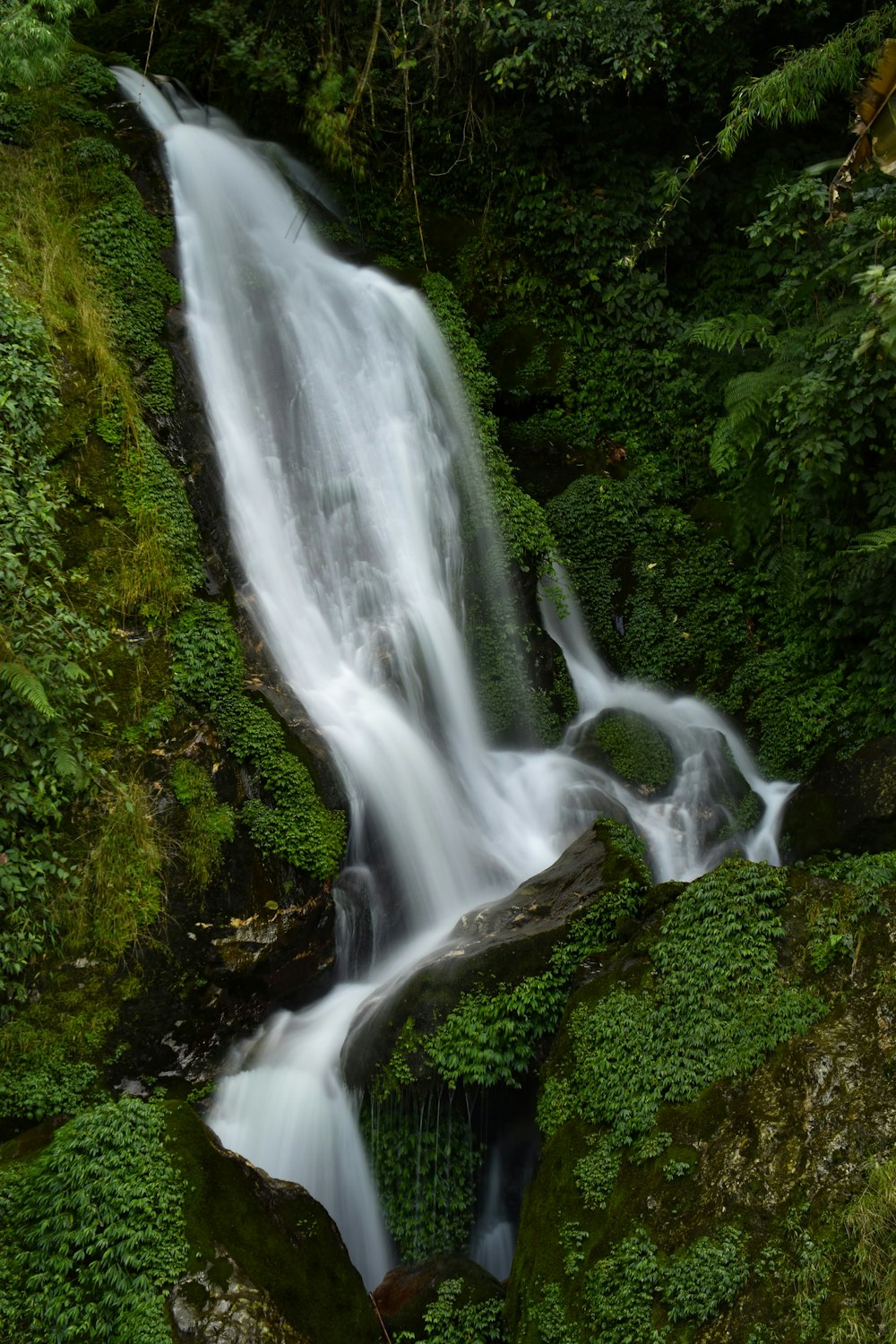 a waterfall in a forest