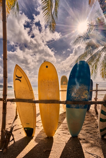 a group of surfboards on a beach