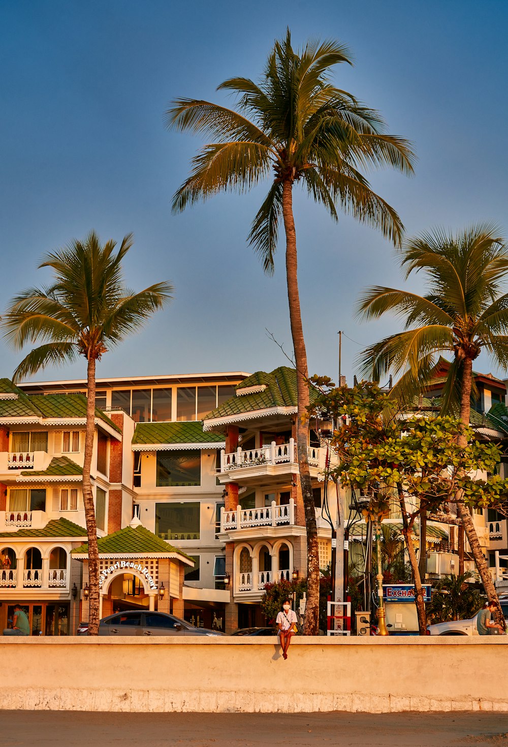 a person walking on a sidewalk between palm trees