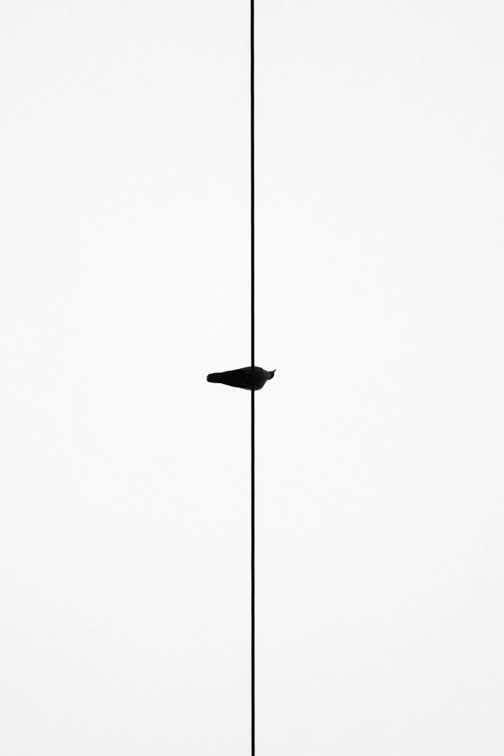 a black and white lamp