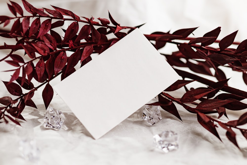 a white card with red leaves