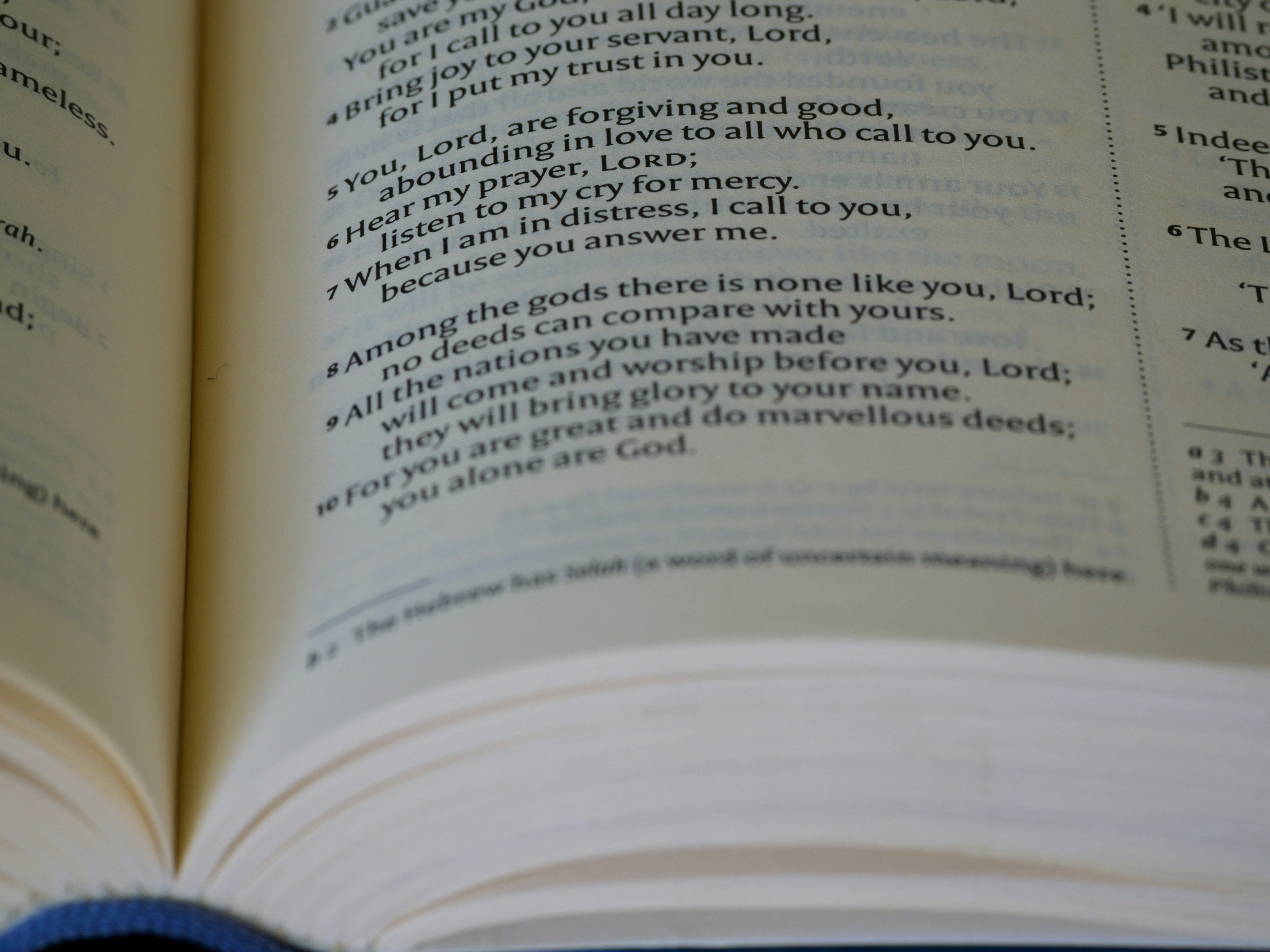 Photo by brett_jordan