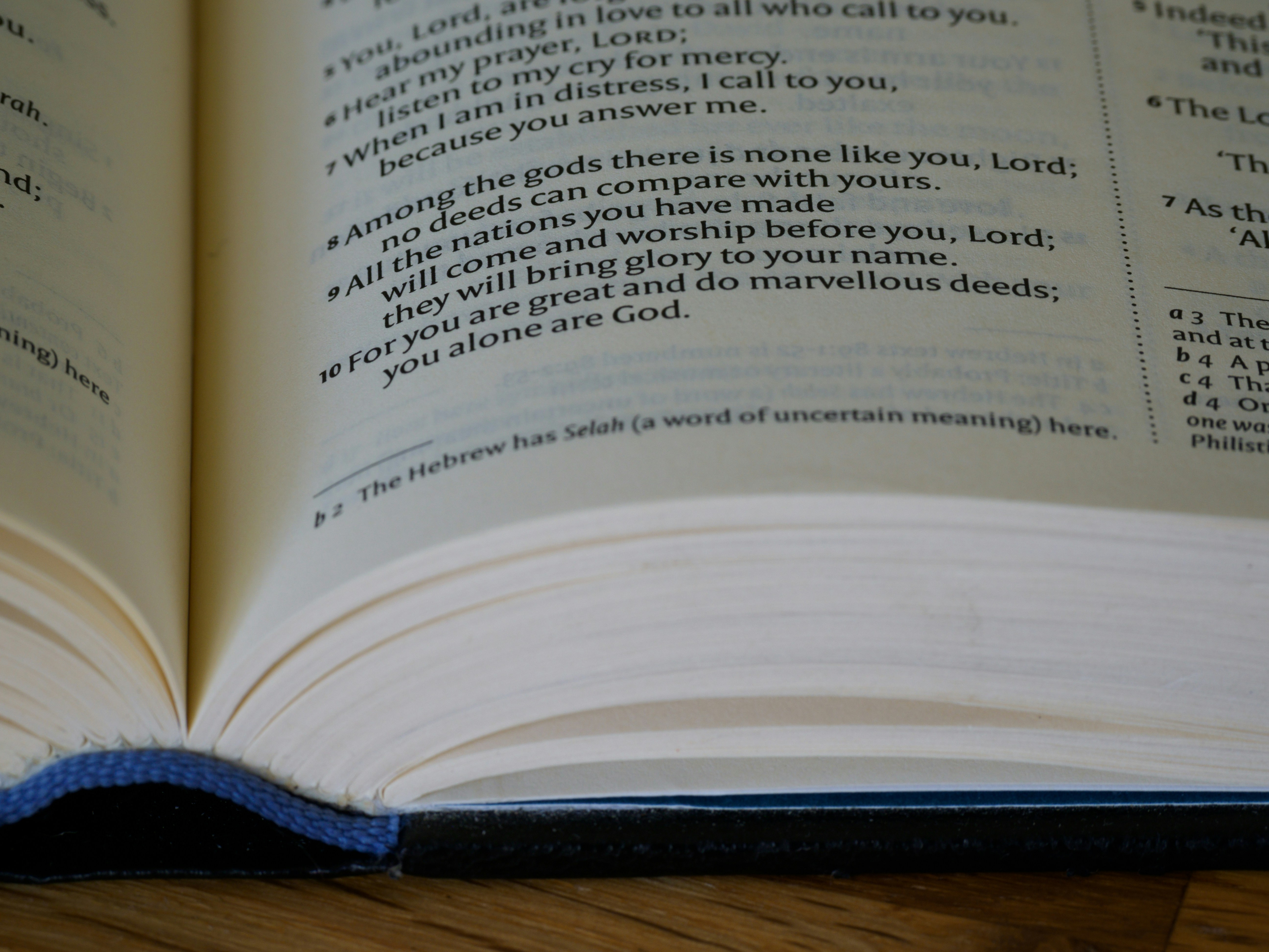 Photo by brett_jordan