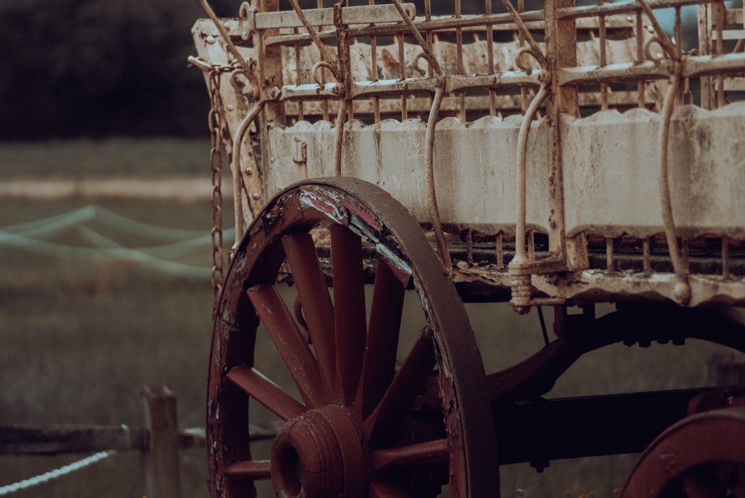 a boat with a wooden wheel, Old wagon in a field