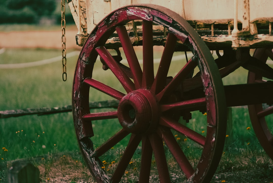 a red wheel on a wooden bench, Old wagon in a field with red wheels.