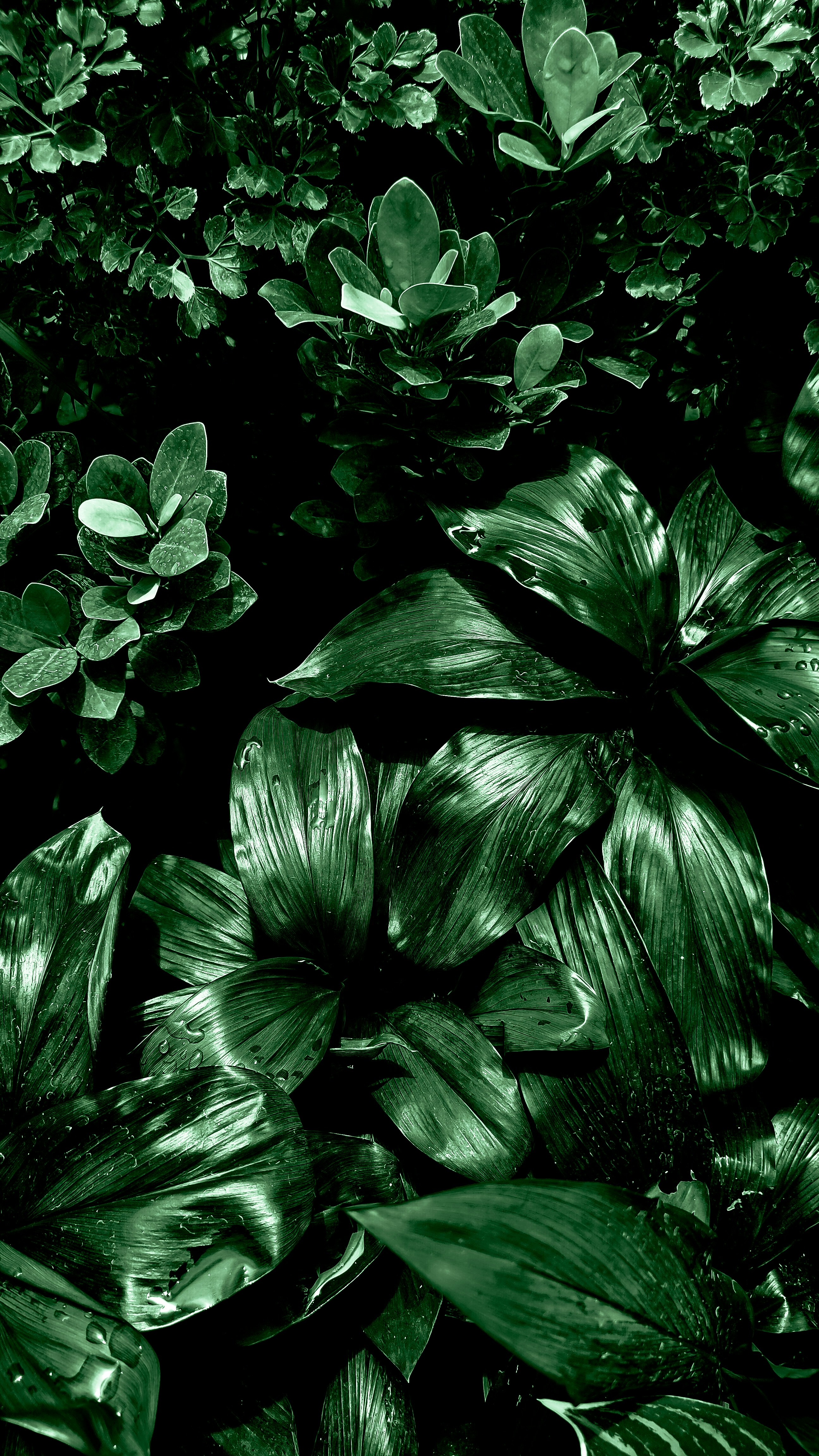 Photo by aditya_ghodke