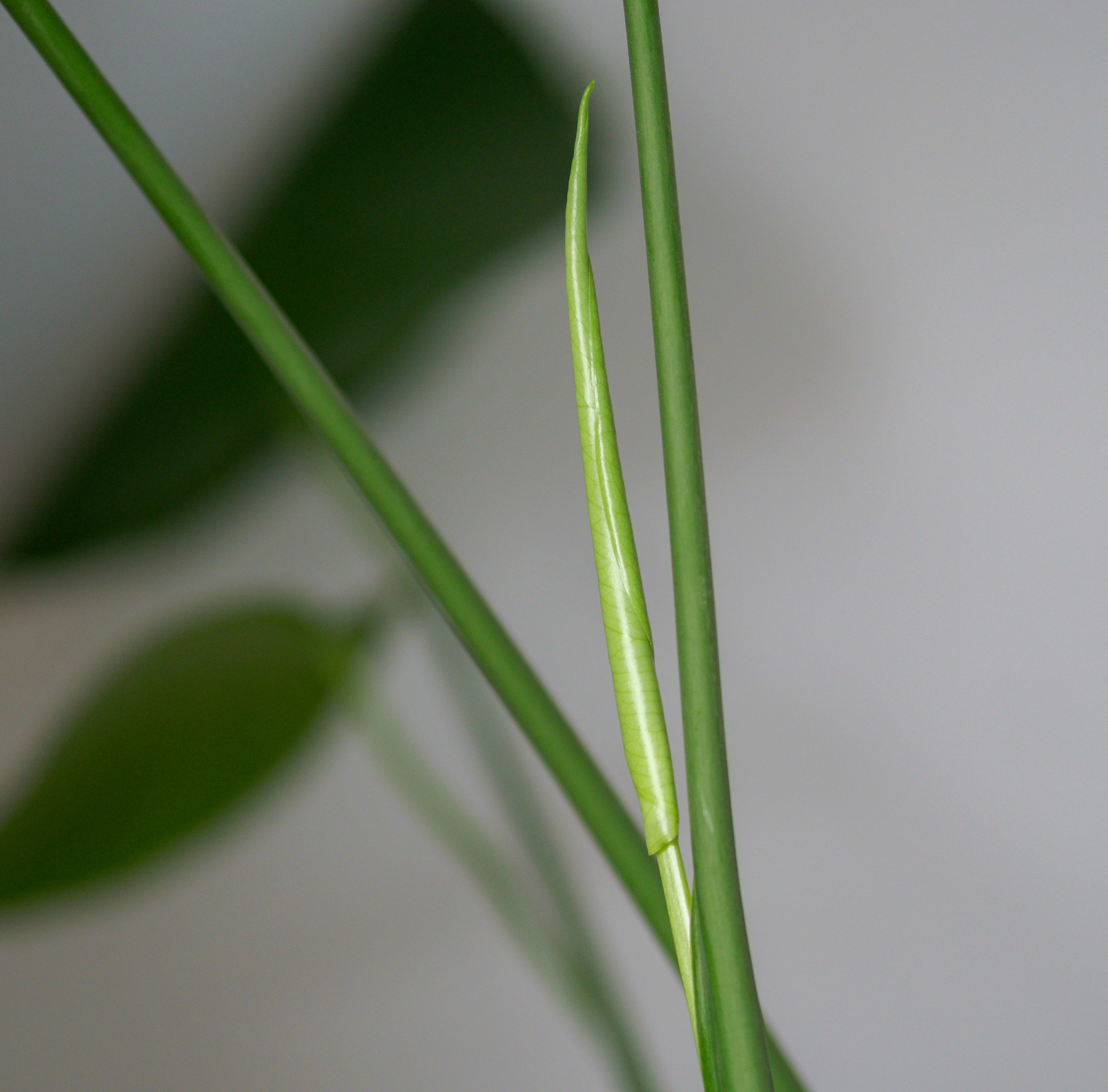 Photo by brett_jordan