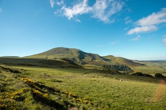 a grassy field with hills in the background