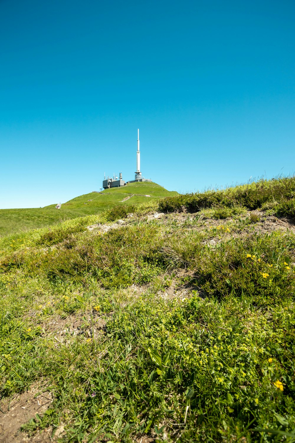 a grassy hill with a tower in the distance