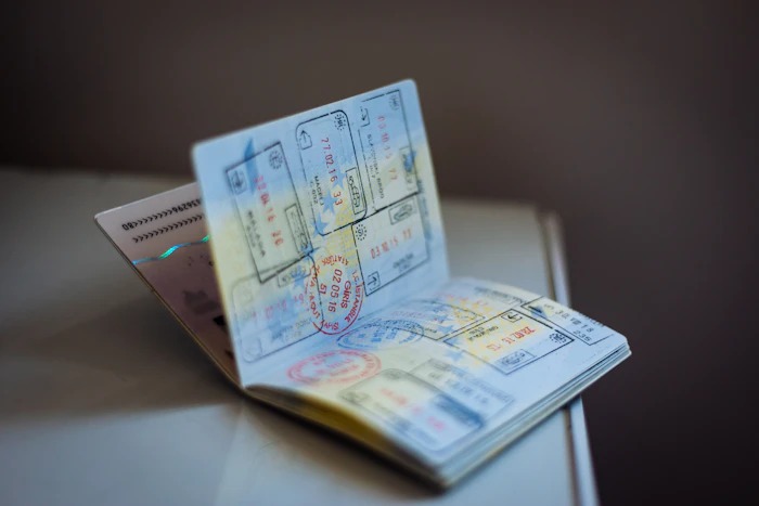 Guest visas and documents