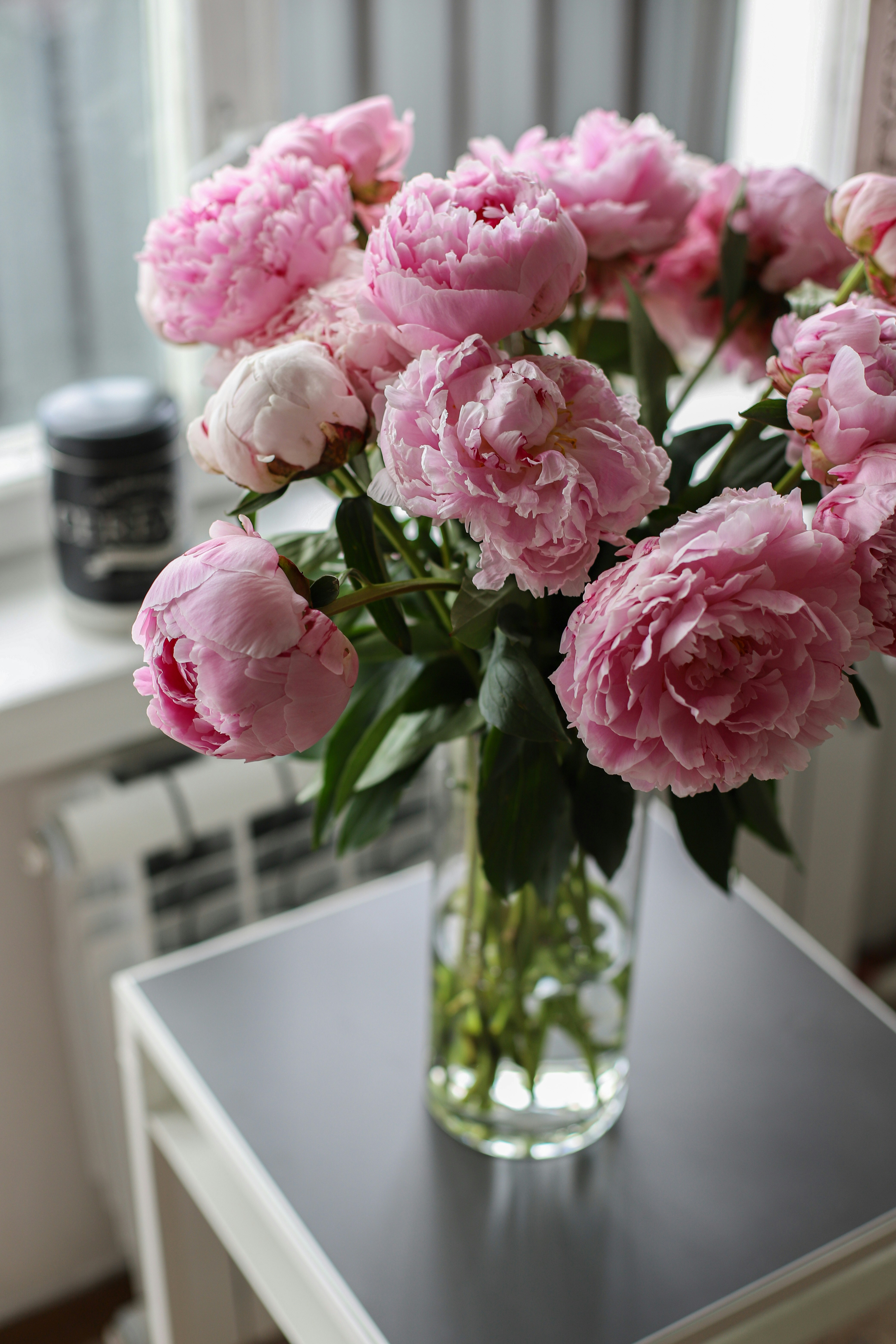 Photo by lapshinakseniia