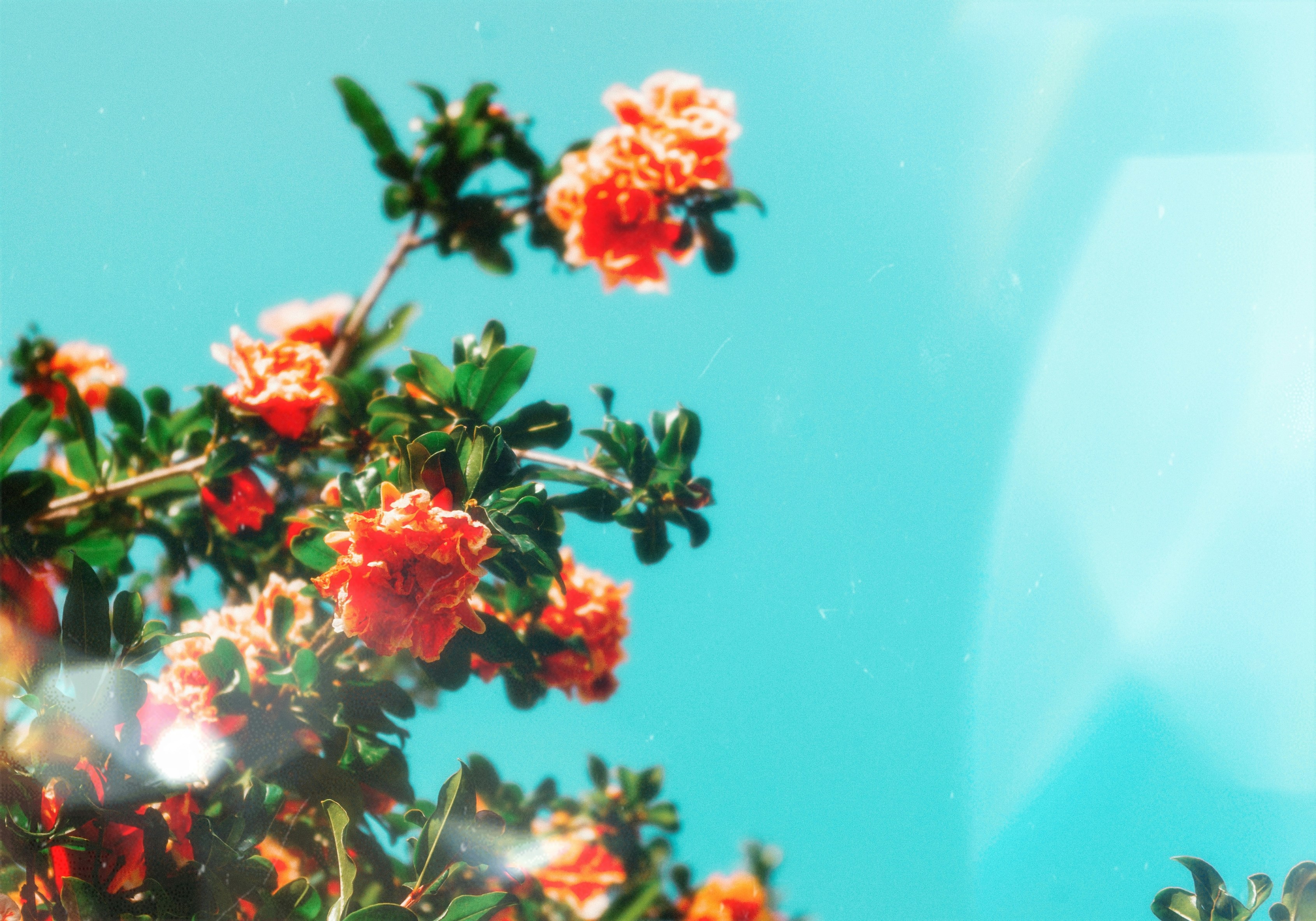 Photo by moonmoons_days