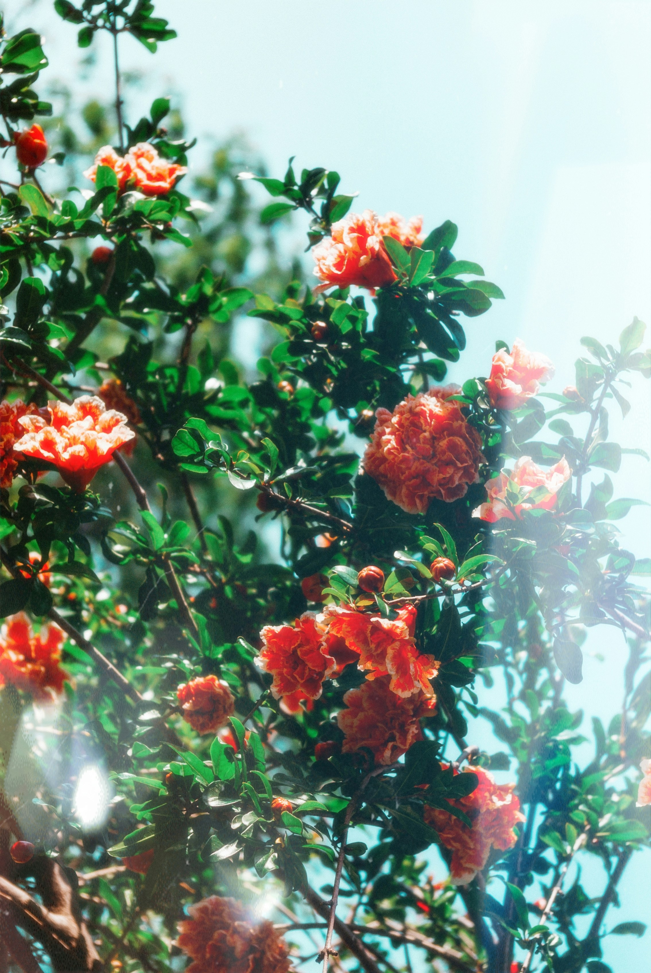 Photo by moonmoons_days