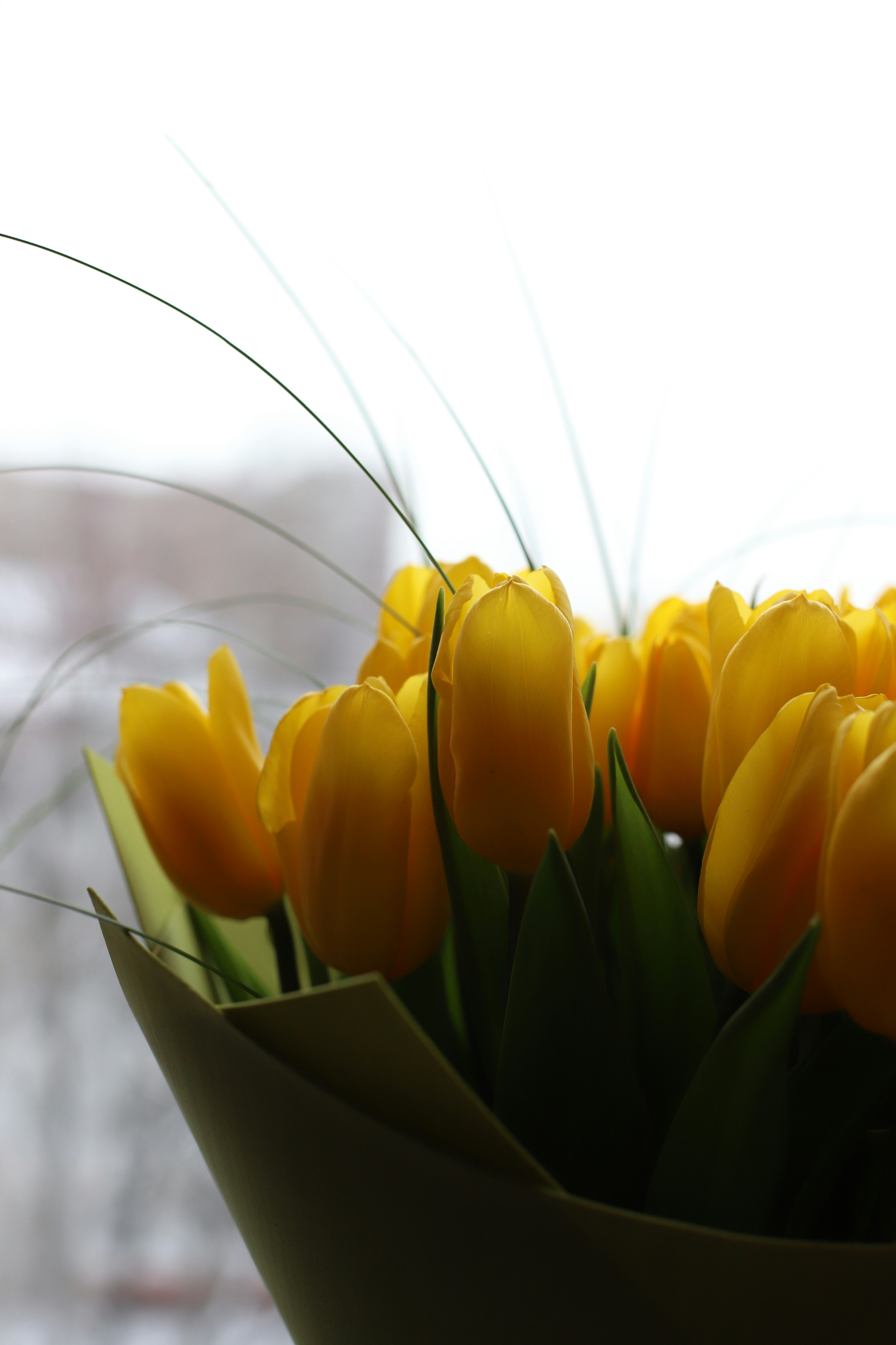 Photo by lapshinakseniia