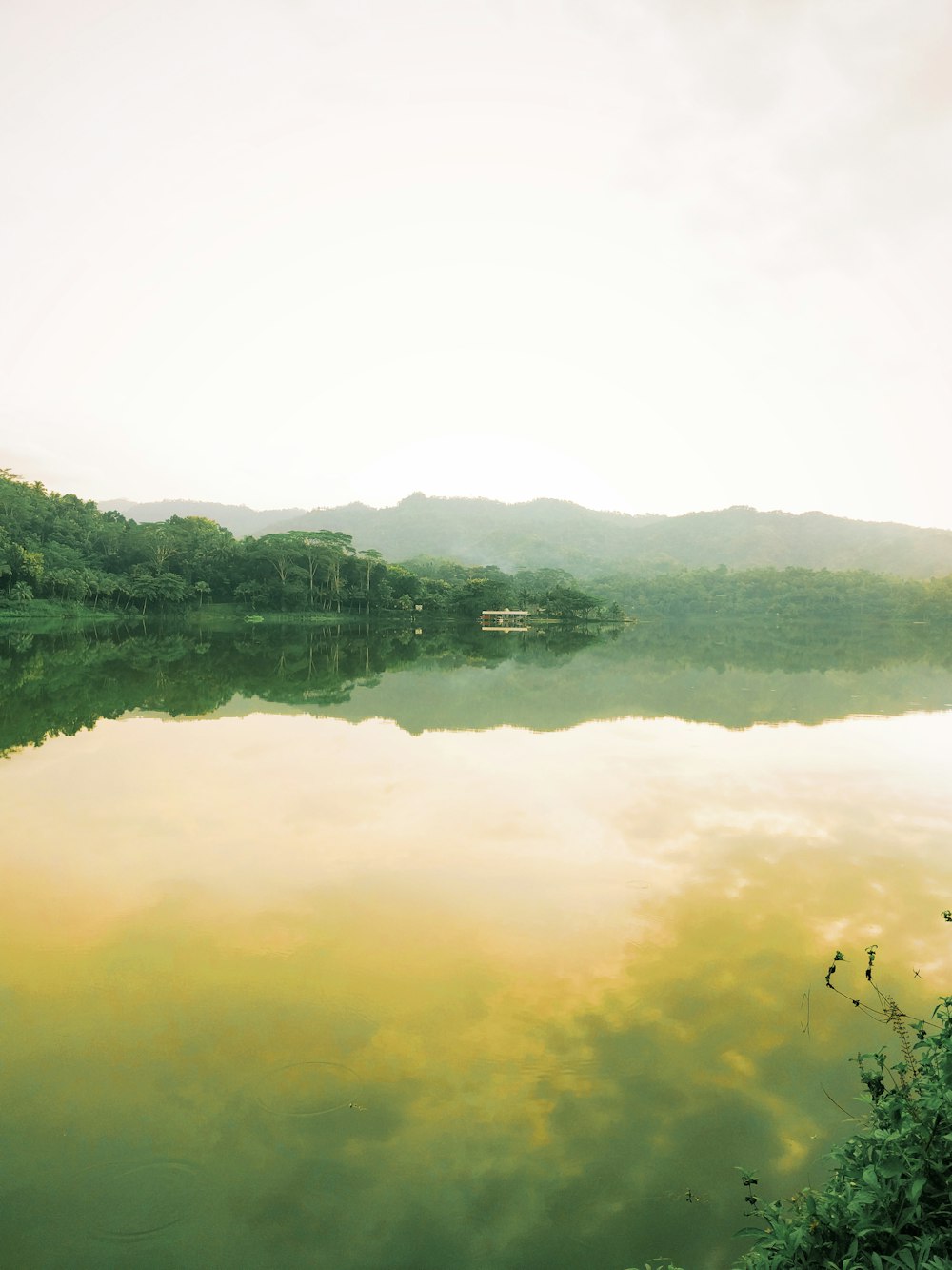 a body of water with trees around it