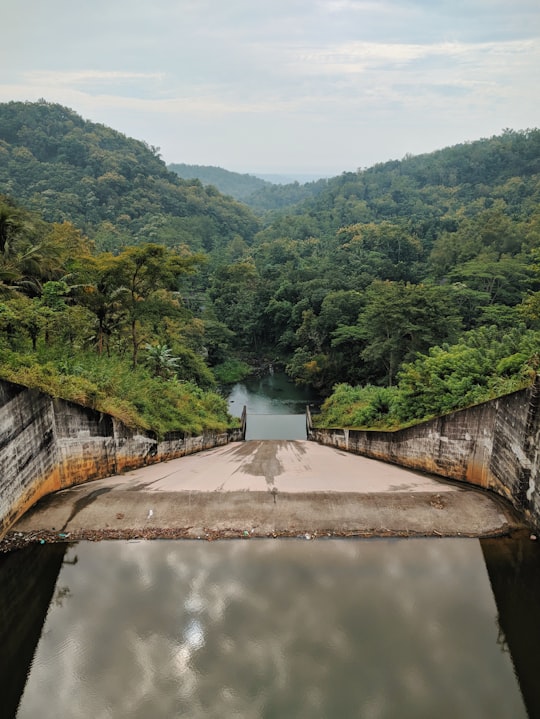 Waduk Sermo things to do in Yogyakarta