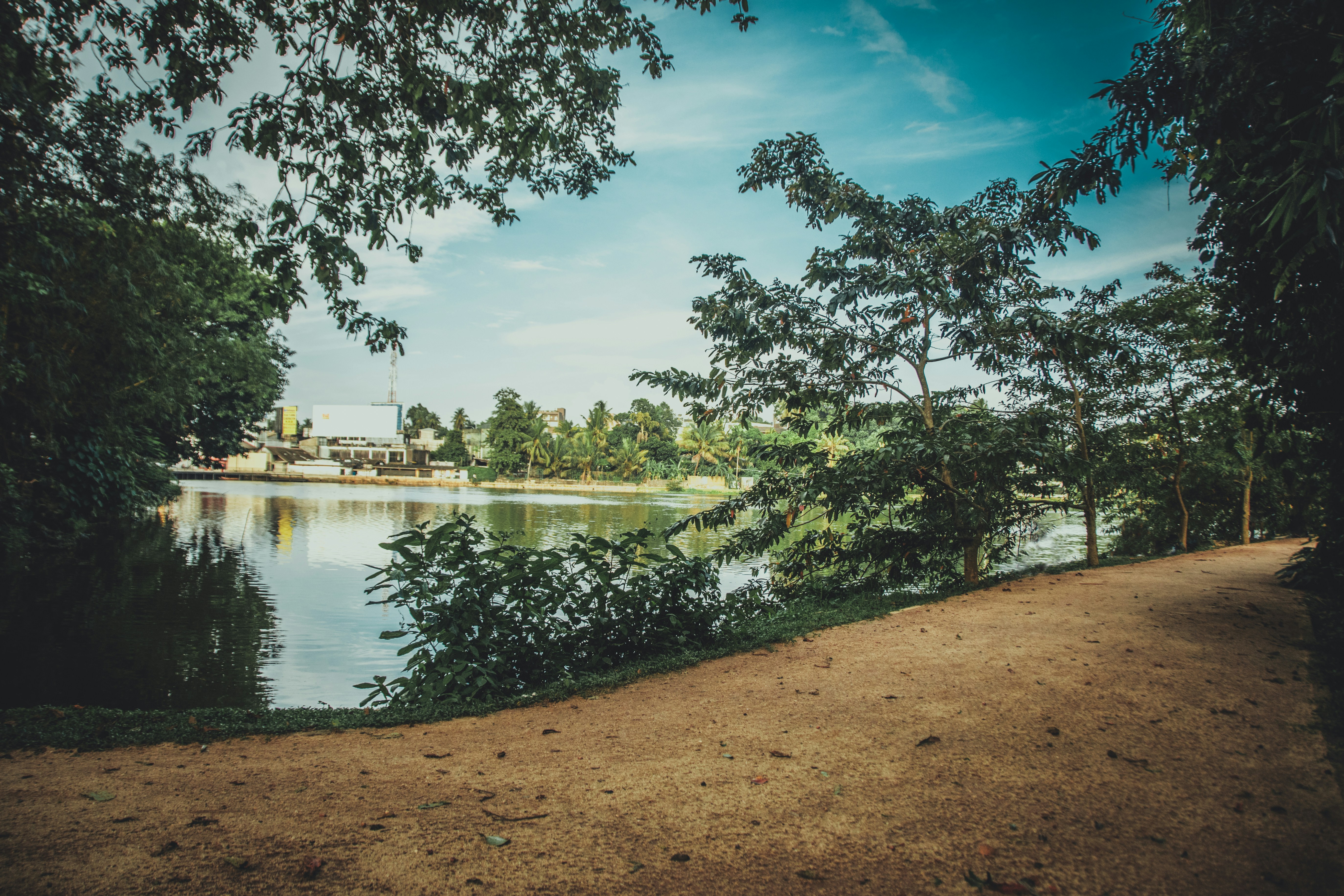 Photo by nilankakariyawasam