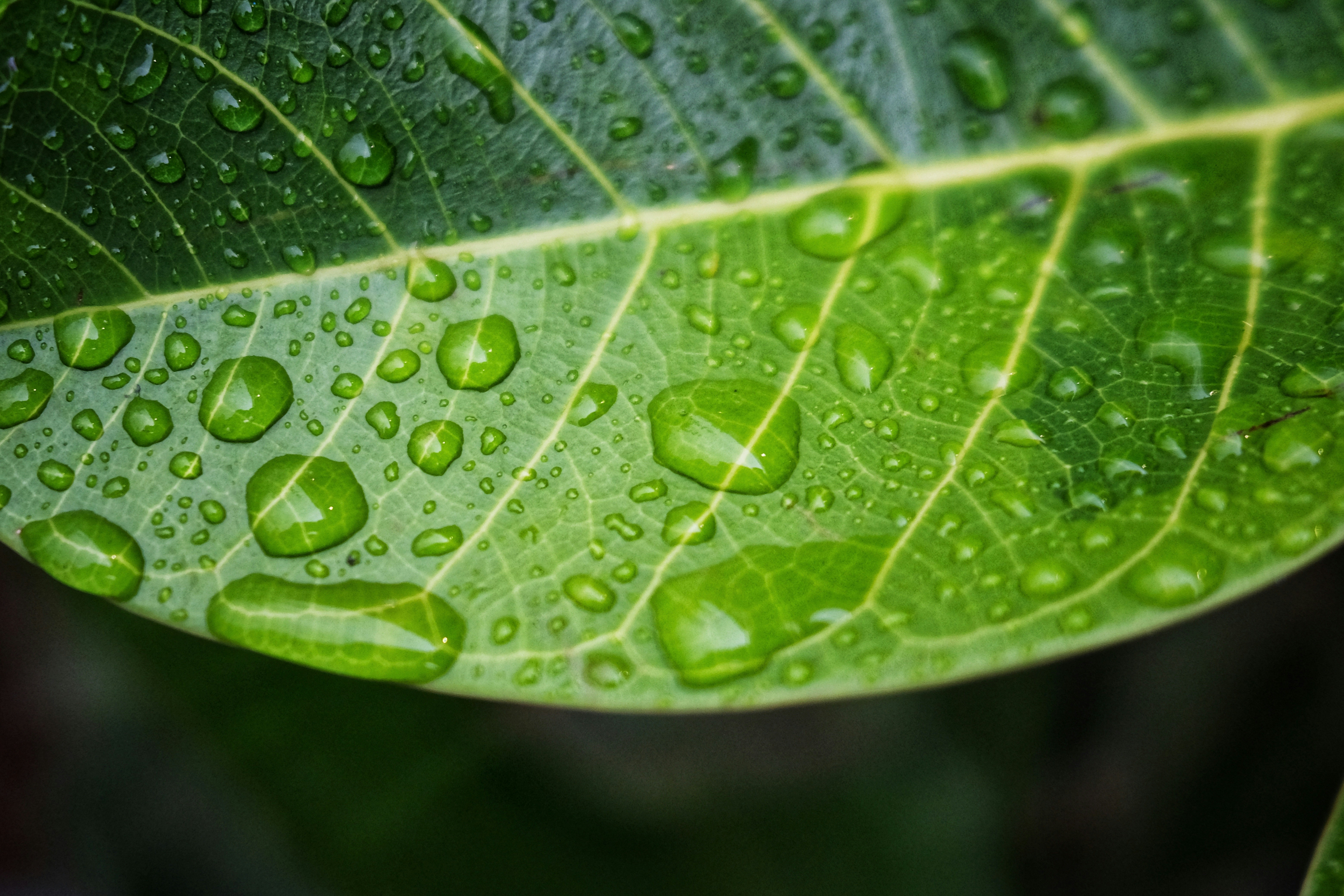 Photo by fredericksail