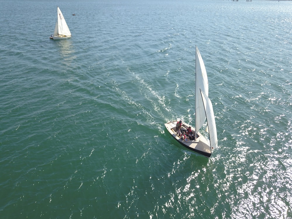 a group of sailboats on the water