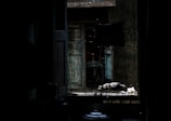 A dimly lit room with a pigeon perched on a window sill, surrounded by a wire mesh. The background reveals an old, weathered wooden window, partially open. A faint light casts shadows, highlighting the rough texture of the walls and the soft silhouette of the pigeon.
