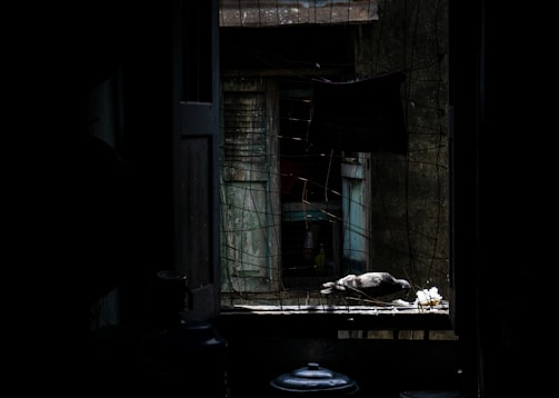 A technician installing a pigeon net on an apartment duct in Chennai.