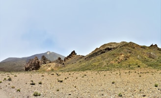 A plot of dry land with clear boundaries, surrounded by sparse trees and a distant mountain view.