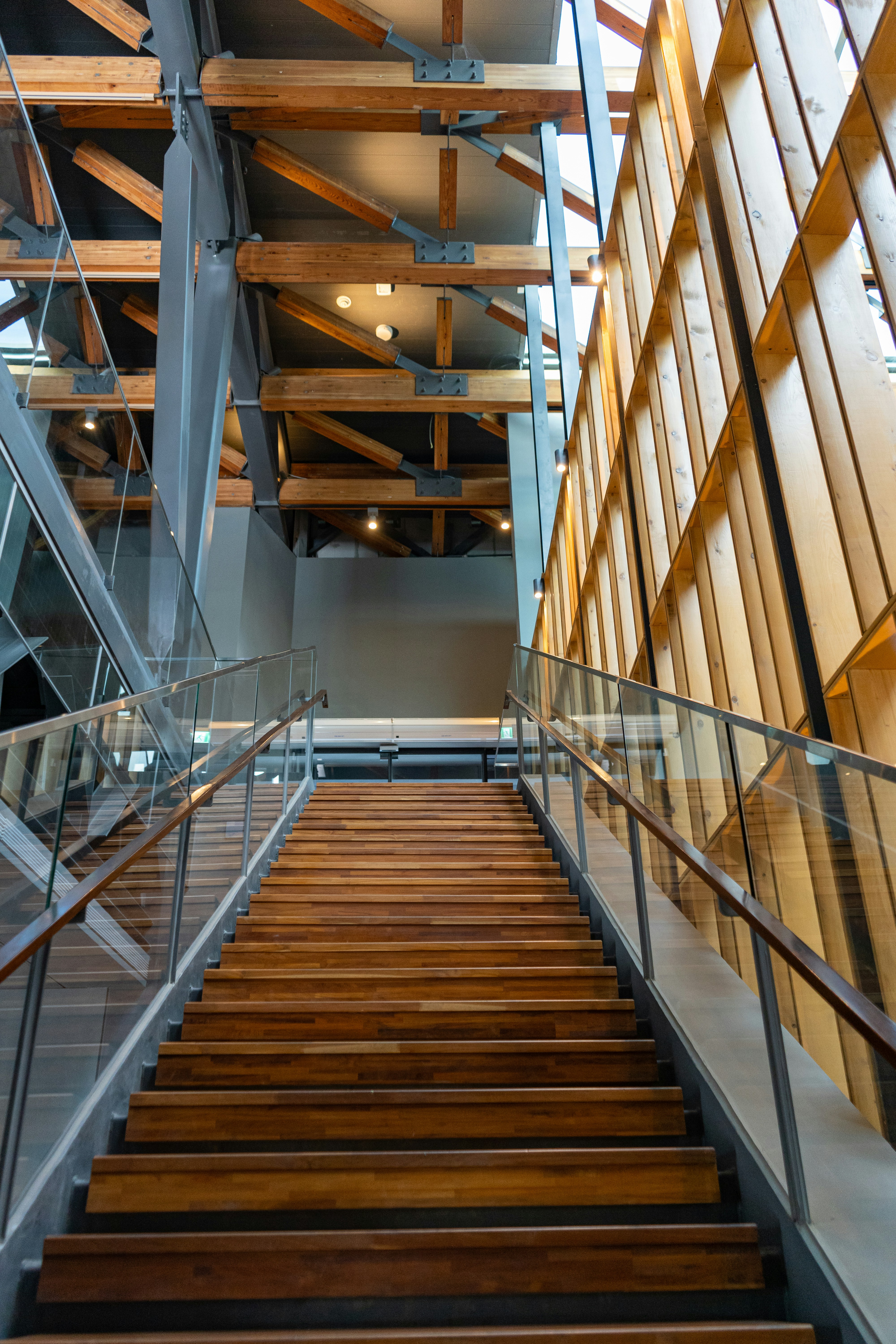 Photo by harrisonchang