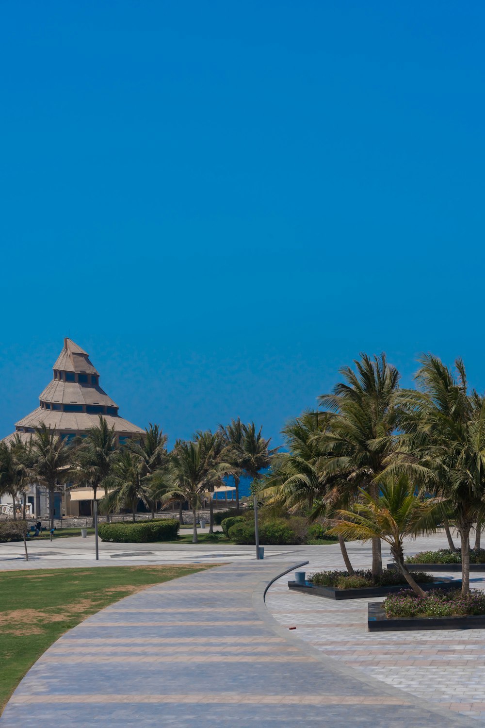 a walkway with palm trees and a building in the background