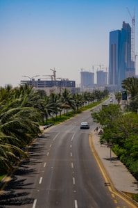 a car driving down a road with palm trees and tall buildings in the background