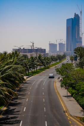 a car driving down a road with palm trees and tall buildings in the background