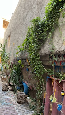 An outdoor scene featuring a narrow pathway with colorful brickwork and a rustic wall covered in climbing greenery and artistic decorations. Various plants and small trees line the path, along with upcycled decorations made from colored bottles and painted tires. The wall displays vibrant patterns, adding a creative and lively atmosphere.