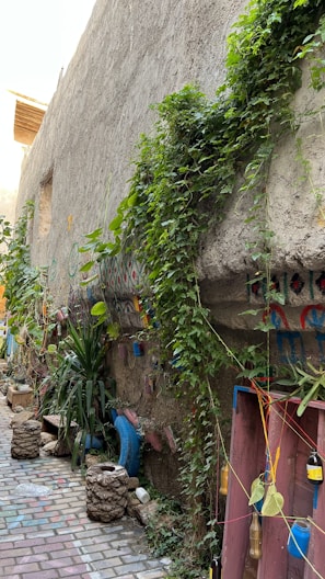 An outdoor scene featuring a narrow pathway with colorful brickwork and a rustic wall covered in climbing greenery and artistic decorations. Various plants and small trees line the path, along with upcycled decorations made from colored bottles and painted tires. The wall displays vibrant patterns, adding a creative and lively atmosphere.