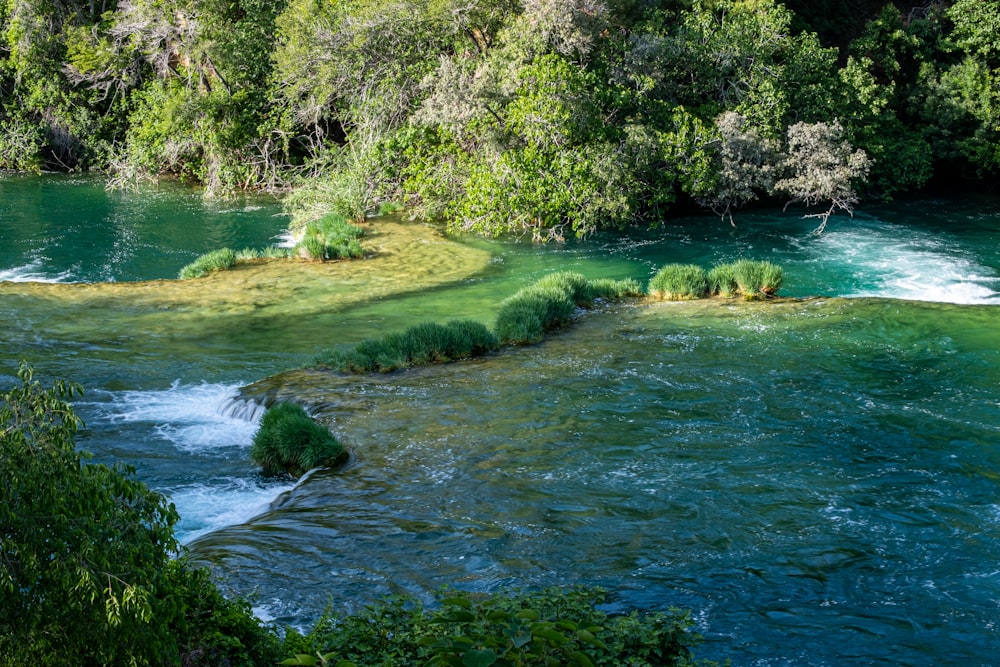 Ein Fluss mit Bäumen an der Seite